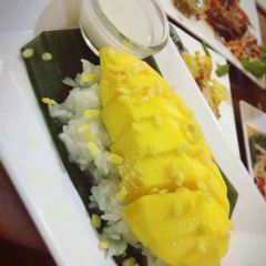Green Bird User Photo