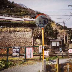 Double Doors Shichirigahama User Photo