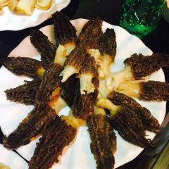 Snow mountain clouds wild mushrooms User Photo