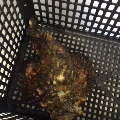 Suang Tain Seafood Restaurant User Photo