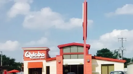 Qdoba Mexican Grill