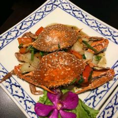 Mai Thai Cuisine User Photo
