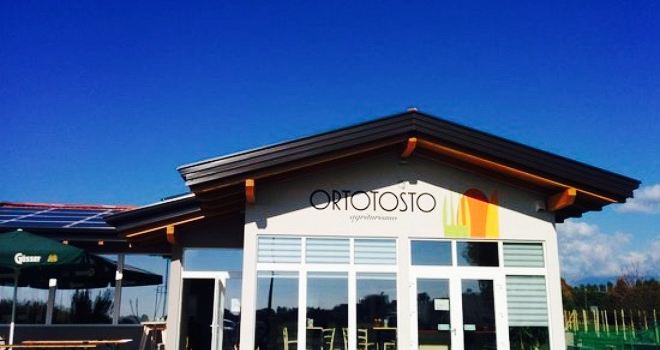 Ortotosto