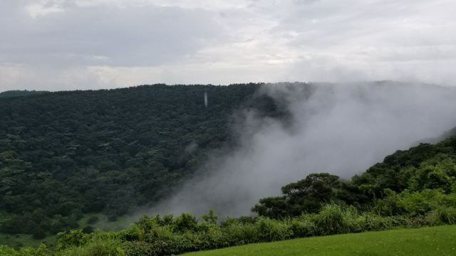 山君不離