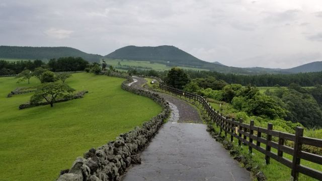 山君不離