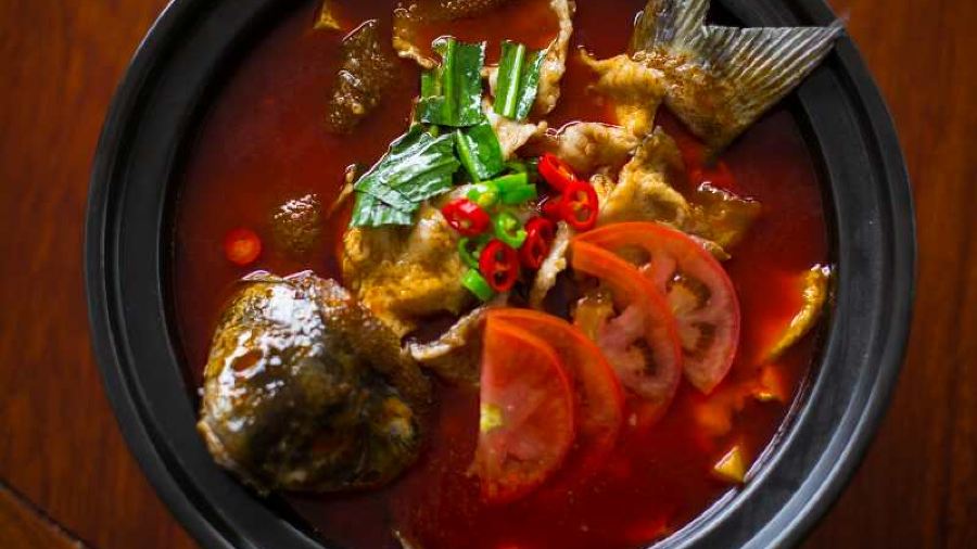 Snow mountain clouds wild mushrooms
