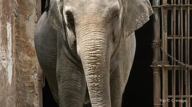 2_馬尼拉動植物園