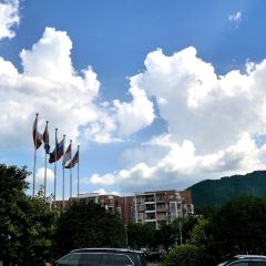 阳山碧桂园凤凰酒店·餐厅 User Photo
