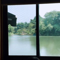 张鸟园农家乐(张鸟园店) User Photo