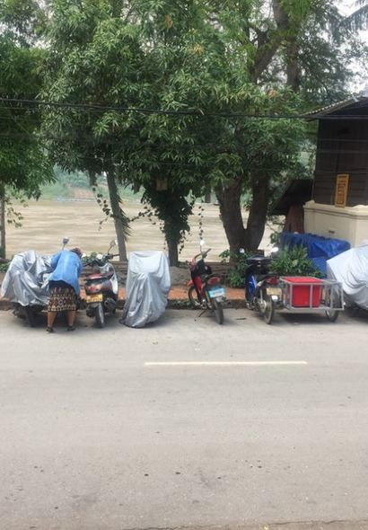 Saffron Coffee's Espresso, Brew Bar, & Roastery