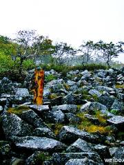 黑龍江鳳凰山國家級自然保護區