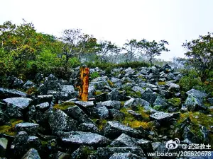 黑龍江鳳凰山國家級自然保護區