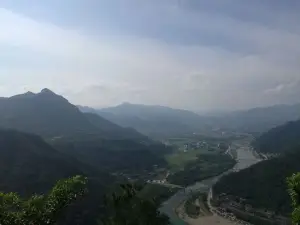 Dongdong