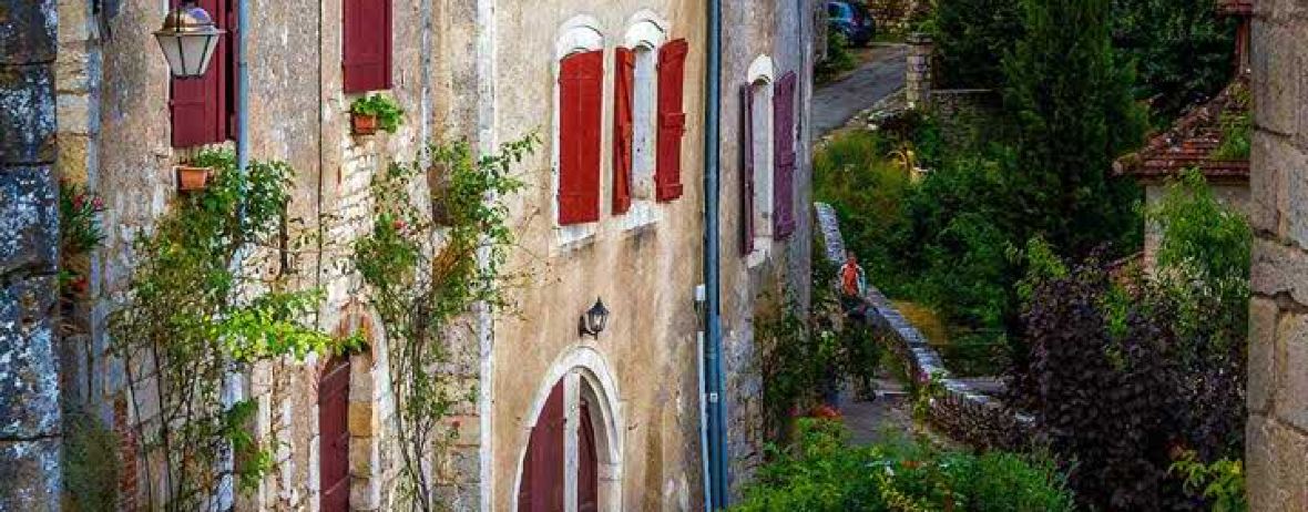 Ziyanbaiwei Chicken (shigang)