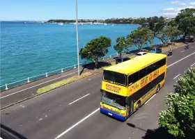 Auckland Explorer Bus
