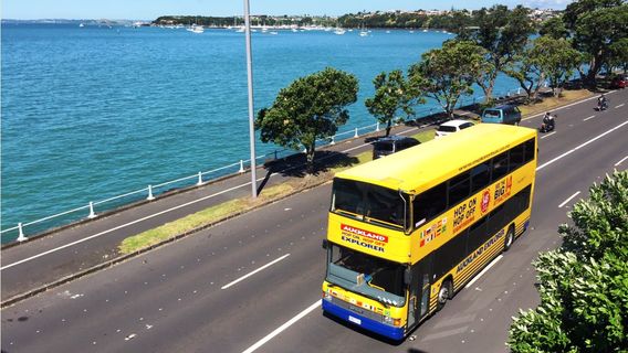 Auckland Explorer Bus