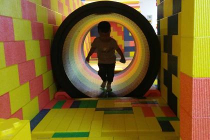 Dicos (weinisishuichengcanting)