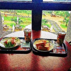 Bolangtouchengchengbaokafeiyiguan User Photo