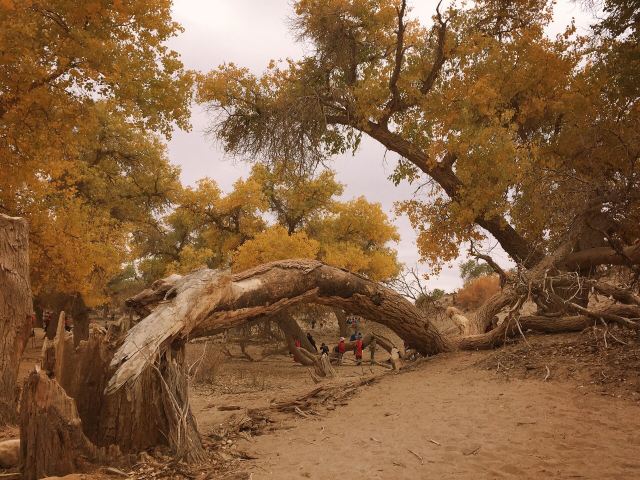 Heiheyanlin Sceneic Area