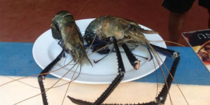 Anthony Restaurant & SPA