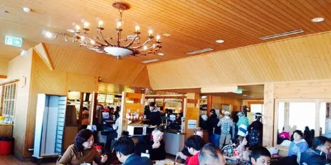 Panorama Self-Service