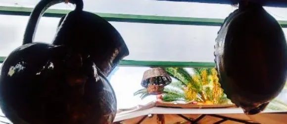 Hotel Restaurant Don Cenobio