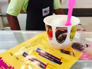 Natural Ice Cream