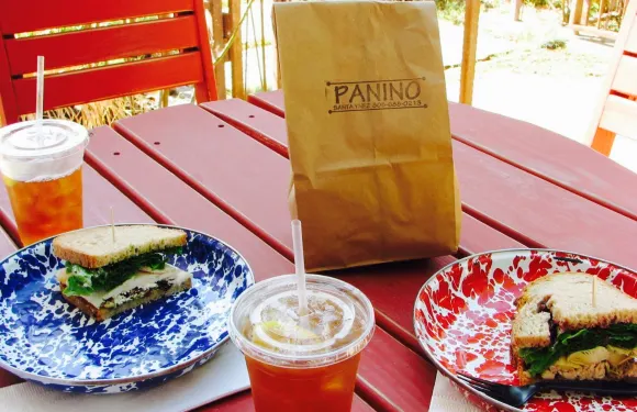 PANINO Santa Ynez