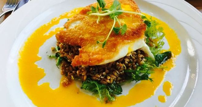 Fiddlehead Bistro