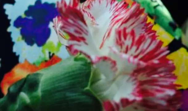 Original Pancake House