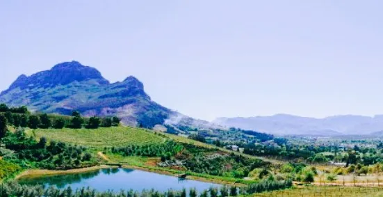 Bartinney Wine Estate Tasting Shed