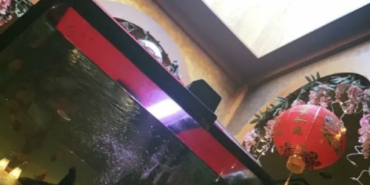 Peace Garden Restaurant