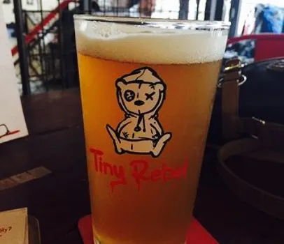 Tiny Rebel