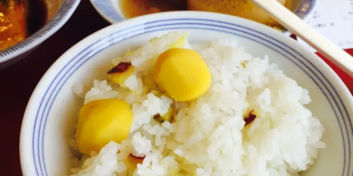 Maidookini Shokudo Moriyama Imaichi