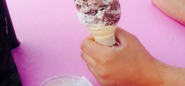 Ice Cream & Sub Delight