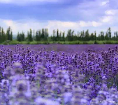 Hoteles Junyi en Yining