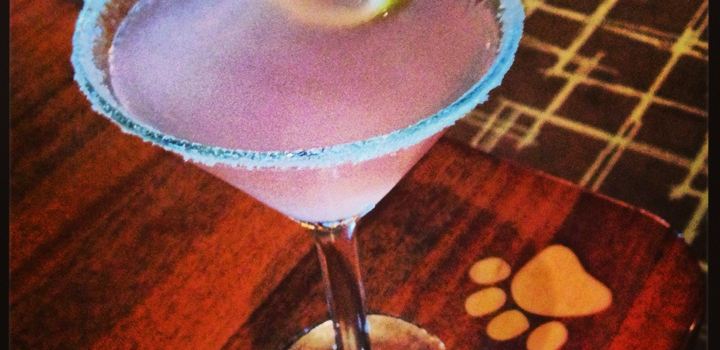 Lazy Dog Restaurant & Bar