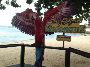 Jimmy Buffett's Margaritaville Ocho Rios