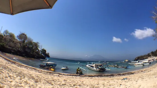 The BAR at Mushroom Beach