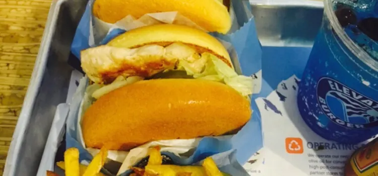 Elevation burger