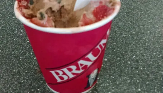 Braums Ice Cream & Dairy Strs