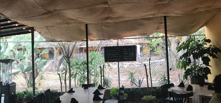 Mi Bistro 300