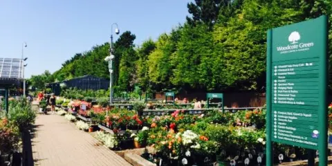 Woodcote Green