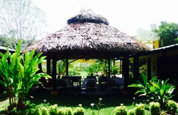 Coffee & Breakfast Amazon B & B