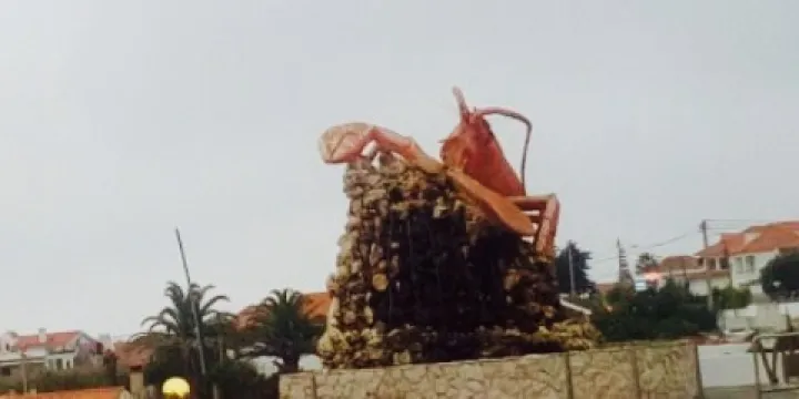 Viveiros Do Atlantico