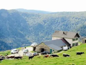 Ferme Auberge du Huss