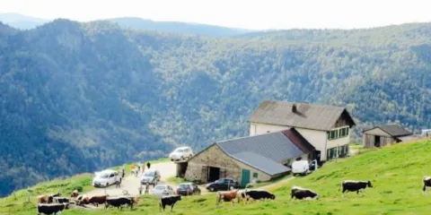 Ferme Auberge du Huss