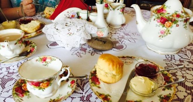 The Cosy Tea Pot and Collectables