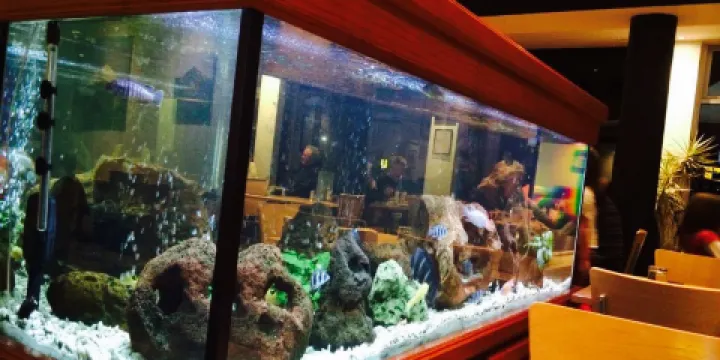 The Terrace Restaurant