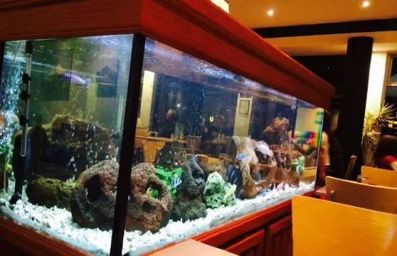 The Terrace Restaurant